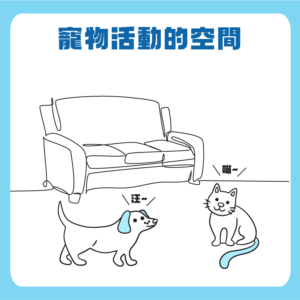 寵物活動空間